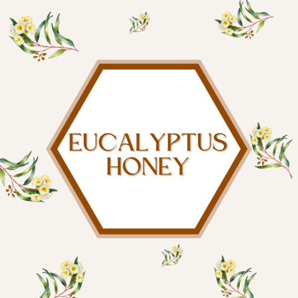Bee Blossom - Eucalyptus Honey